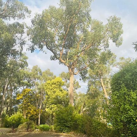 Sanctuary House Resort Motel Healesville Exterior photo