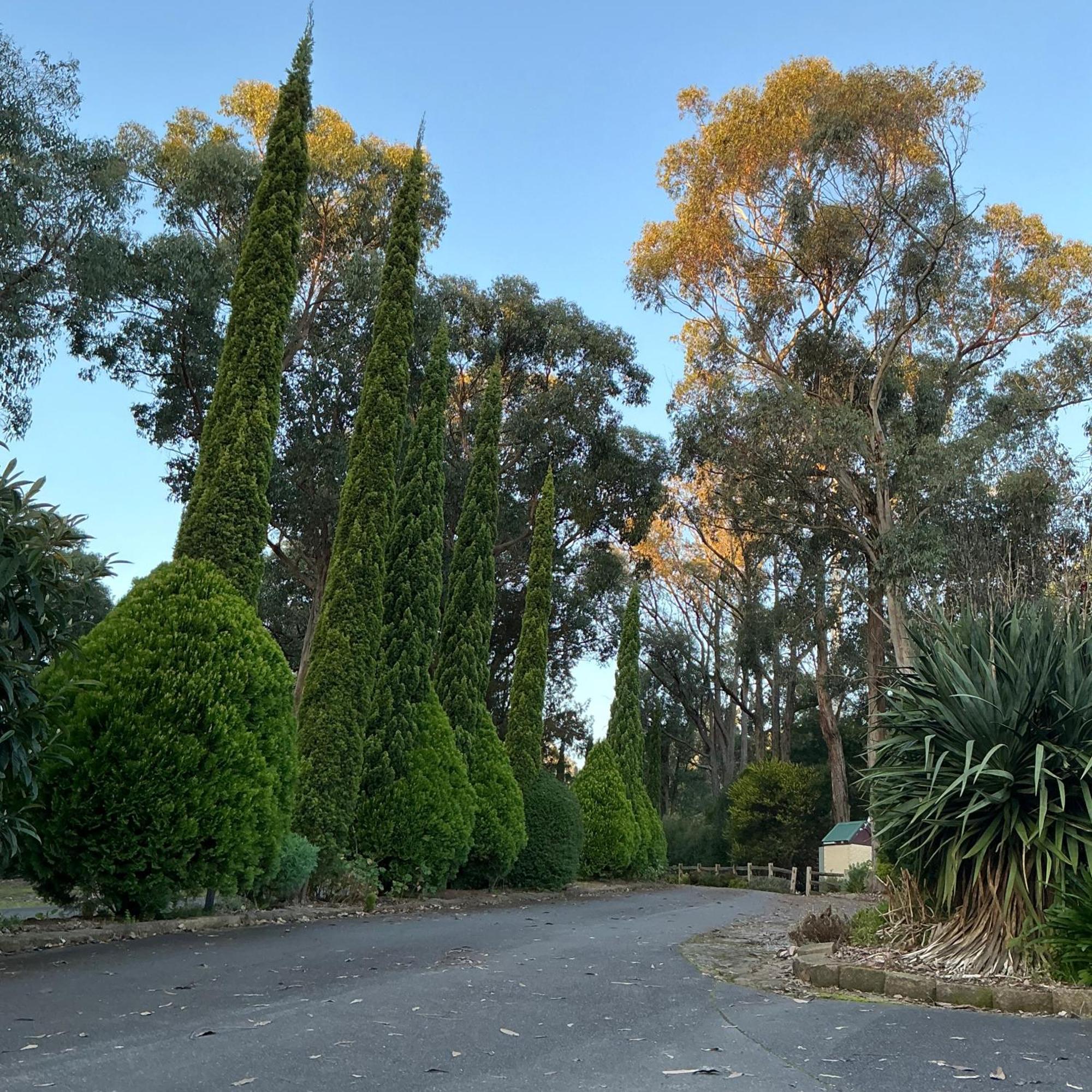Sanctuary House Resort Motel Healesville Exterior photo